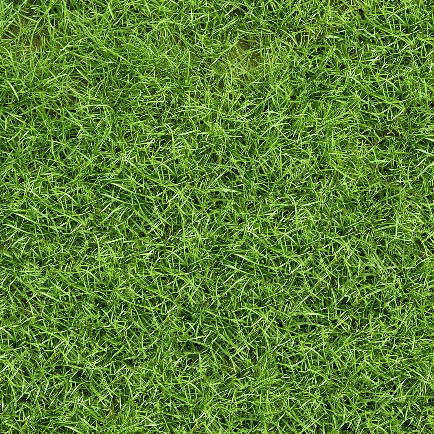 Texture Preview 31